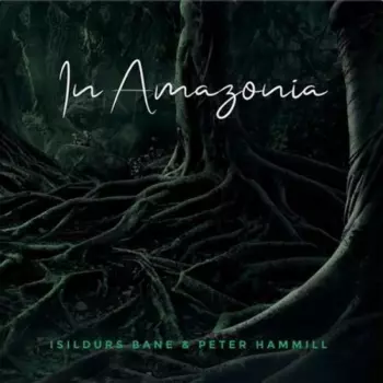 Peter Hammill: In Amazonia