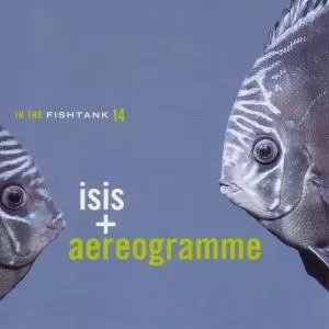 In The Fishtank 14