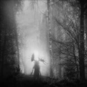 LP Iterum Nata: From The Infinite Light