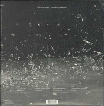 2LP J. Peter Schwalm: The Beauty Of Disaster