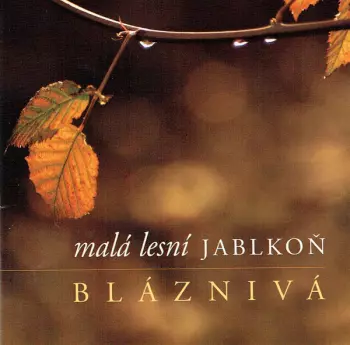 Bláznivá