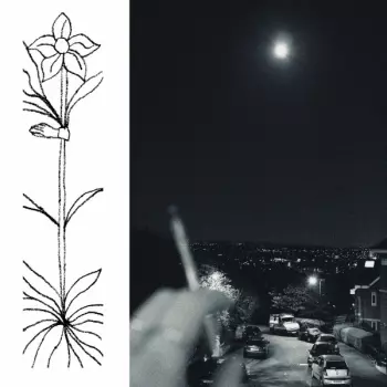 Jabu: A Soft and Gatherable Star