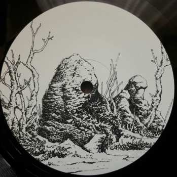 2LP Jacek Sienkiewicz: Hideland