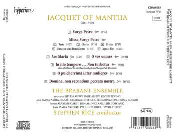 CD The Brabant Ensemble: Missa Surge Petre & Motets