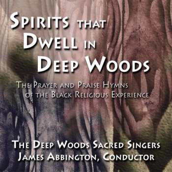 Album James Abbington: Spirits That Dwell In Deep Woods