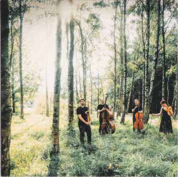 CD James Mainwaring: Mycorrhiza