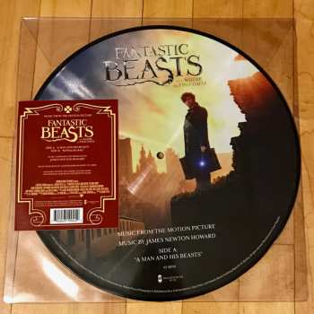 LP James Newton Howard: Fantastic Beasts And Where To Find Them: Music From The Motion Picture  PIC