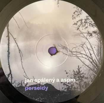 LP Jan Spálený: Perseidy