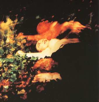 CD Jarboe: Sacrificial Cake