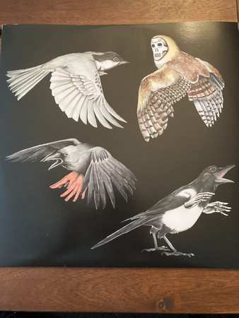 LP Jason Molina: Eight Gates LTD