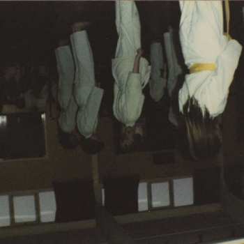 CD Jaws: The Ceiling