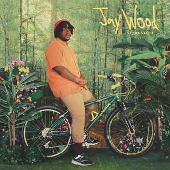 LP JayWood: Slingshot CLR | LTD