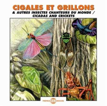 Album Jean C. Roché: Cigales Et Grillons / Cicadas And Crickets