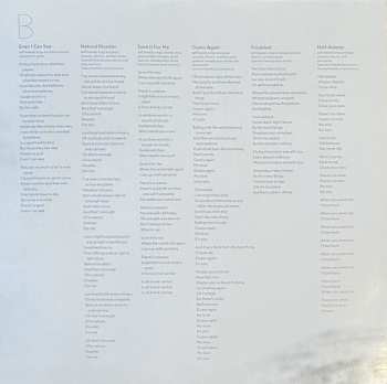 LP Jeff Tweedy: Love Is The King CLR