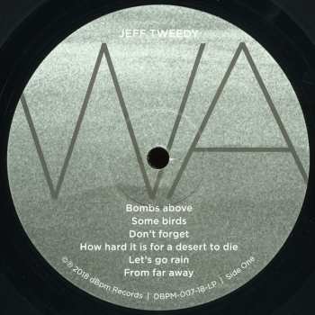 LP Jeff Tweedy: Warm