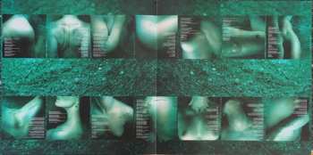 2LP Jerry Cantrell: Degradation Trip