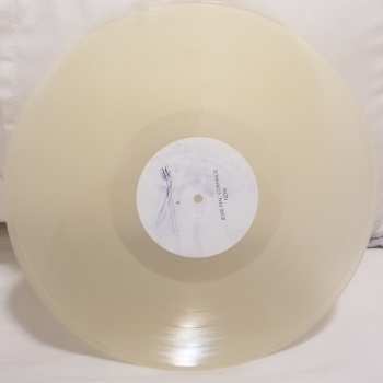 LP Jesse MacCormack: Now LTD | CLR