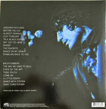 2LP Jesse Malin: Sad and Beautiful World