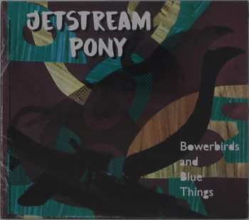 Album Jetstream Pony: Bowerbirds And Blue Things