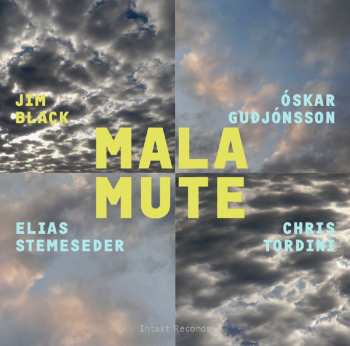 Album Jim Black: Malamute