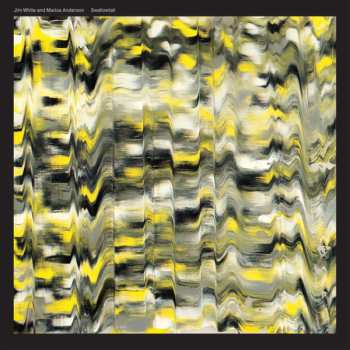 Album Jim White: Swallowtail