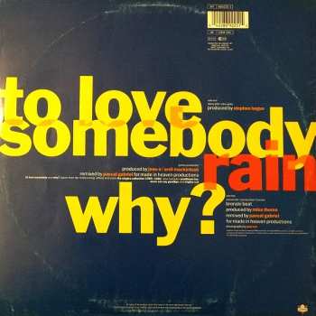 LP Jimmy Somerville: To Love Somebody
