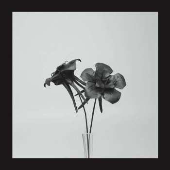 LP Jlin: Dark Lotus