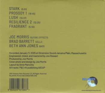 CD Joe Morris: Abstract Forest LTD