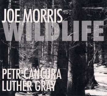 Album Joe Morris: Wildlife