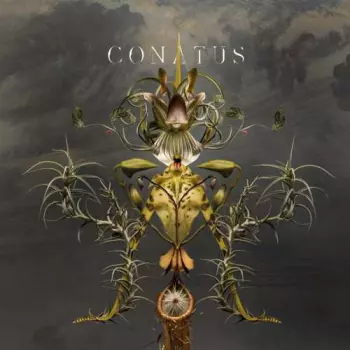 Joep Beving: Conatus