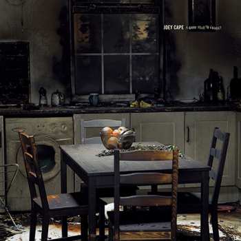 Album Joey Cape: A Good Year To Forget