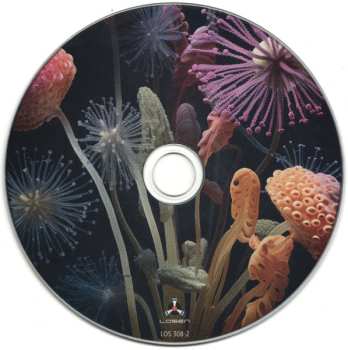 CD Johan Tobias Bergstrøm: Nova