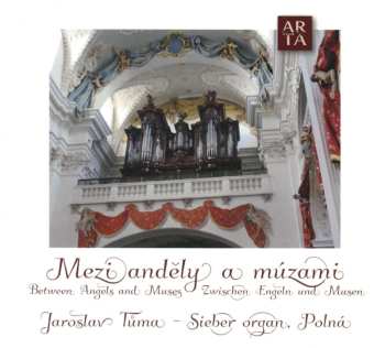 Album Johann Caspar Ferdinand Fischer: Jaroslav Tuma - Mezi Andely A Muzami