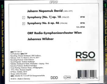 CD ORF Radio-Symphonieorchester Wien: Symphonie 1 & 6