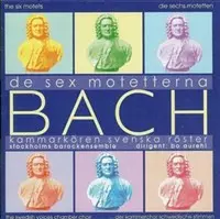 De Sex Motetterna 