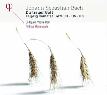 CD Johann Sebastian Bach: Du Treuer Gott: Leipzig Canatas BWV 101 - 115 - 103