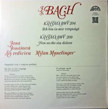 LP Johann Sebastian Bach: Kantáta BWV 204 Ich Bin In Mir Vergnügt / Kantáta BWV 209 Non Sa Che Sia Dolore
