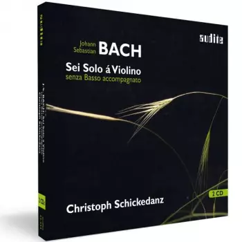 Sei Solo á Violino Senza Basso Accompagnato