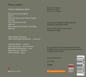 CD Johann Sebastian Bach: Stay, Ye Angels (Cantatas)