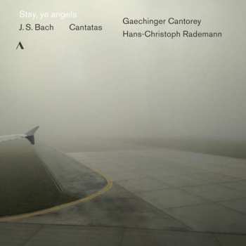 CD Johann Sebastian Bach: Stay, Ye Angels (Cantatas)