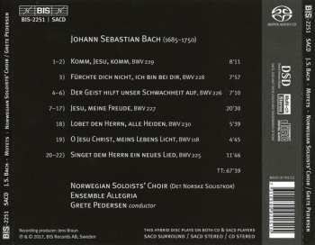 SACD Johann Sebastian Bach: The Motets