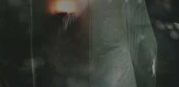 CD Johanna Borchert: Amniotic