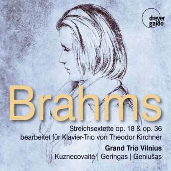 CD Johannes Brahms: Streichsextette Nr.1 & 2 (bearbeitet Für Klaviertrio Von Theodor Kirchner)