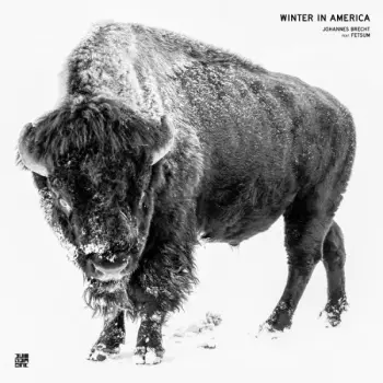 Fetsum: Winter In America