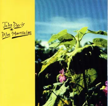 John Davis: Blue Mountains