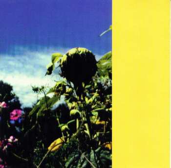 CD John Davis: Blue Mountains