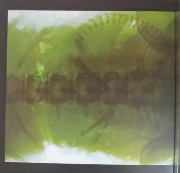 LP John Entwistle: Smash Your Head Against The Wall 