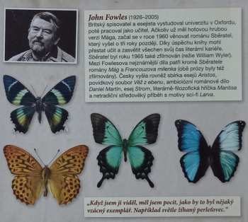 CD John Fowles: Sběratel