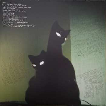 2LP John Grant: Queen Of Denmark LTD | CLR