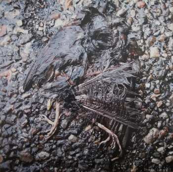 2LP John Grant: Queen Of Denmark LTD | CLR